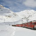 Trans-Mongolian Railway trip